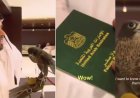 A Majestic Passenger: Man Flies with Falcon on UAE Flight, Bird with its Own Passport