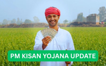 PM Kisan Yojana: Don’t Make These Mistakes to Get the Benefit of the 20th Installment, or Your Money May Get Stuck