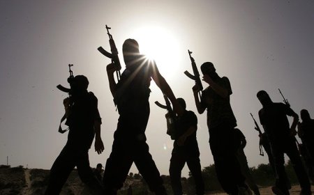 Pahalgaon: NIA searching for Pakistani Gul on phone tip! two in custody, eight more on the lookout