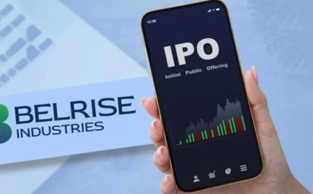 Belrise IPO Allotment Status Check: How to Check, Step-by-Step Process