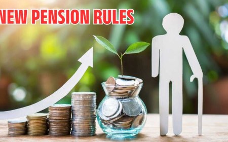 New Pension Rules: Government Takes Major Decision on Pension, These People Will No Longer Receive Pension