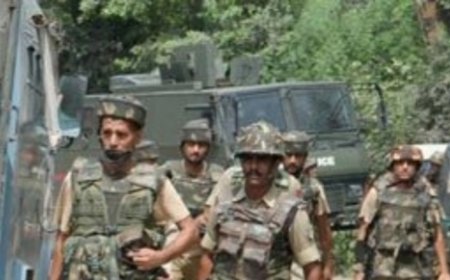 Two Lashkar militants held in Jammu and Kashmir's Shopian