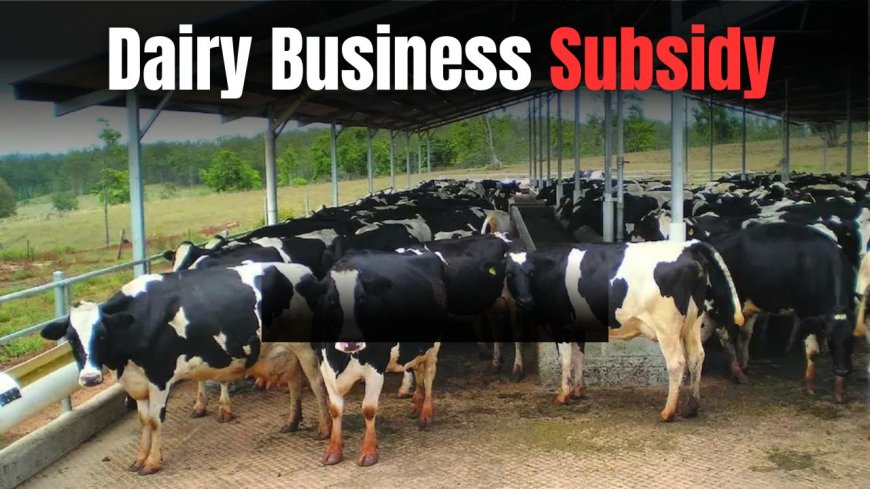 Dairy Business Subsidy Scheme: Dairy Business Owners in This State Are in Luck, Government to Provide ₹5 Crore Subsidy