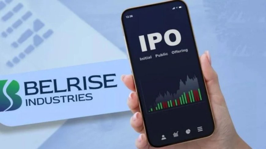 Belrise IPO Allotment Status Check: How to Check, Step-by-Step Process