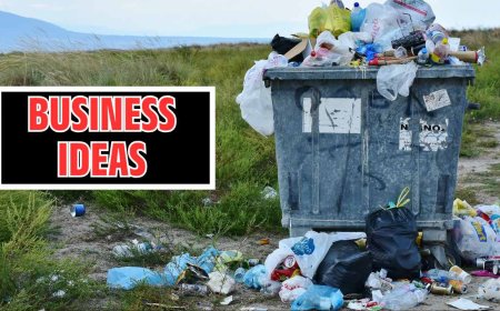 Business Ideas: Start These Top 3 Businesses with Low Investment, Become a Crorepati in Less Time