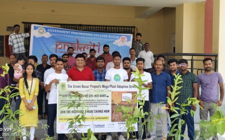 Plantation Program Organized on World Environment Day