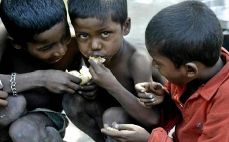 India's Remarkable Poverty Reduction: Over 270 Million Lifted Out of Extreme Poverty in a Decade
