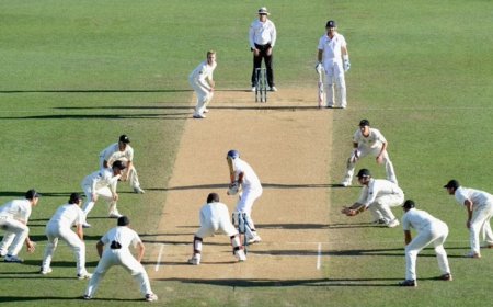 Omani Cricketers Allege Unpaid T20 World Cup Prize Money