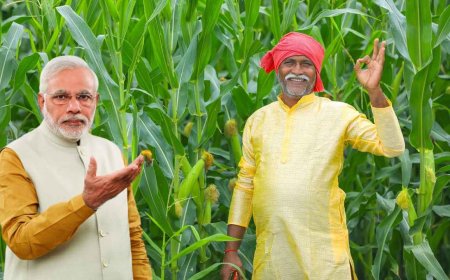 Government to Provide ₹3000 Pension to Elderly Farmers, Know Full Details of the Scheme