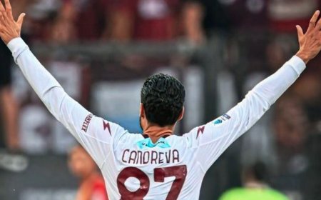 Salernitana Squad Hospitalized with Food Poisoning After Serie B Loss