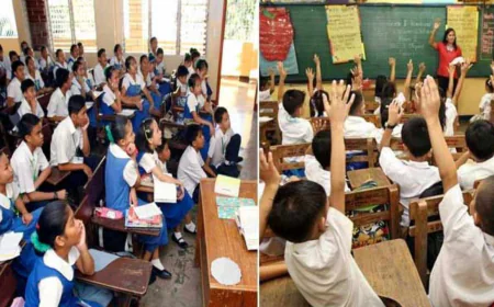 Big Statement on National Education Policy, Learning Hindi Not Mandatory for Students