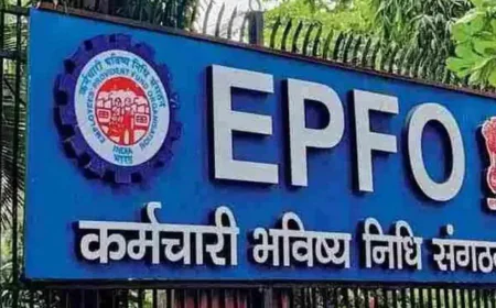 How to Check PF Claim Status, Know the Step-by-Step Process
