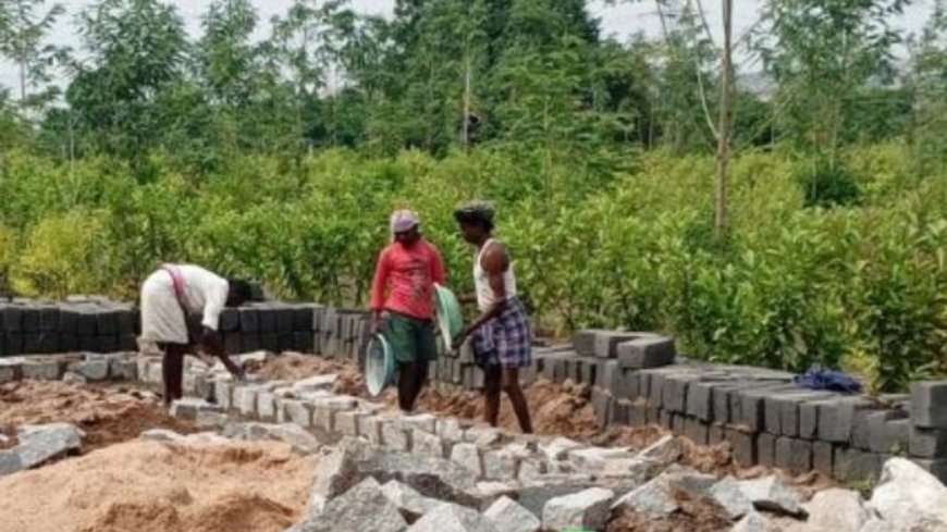 100 days' work corruption: Gujarat minister's two sons held on charge