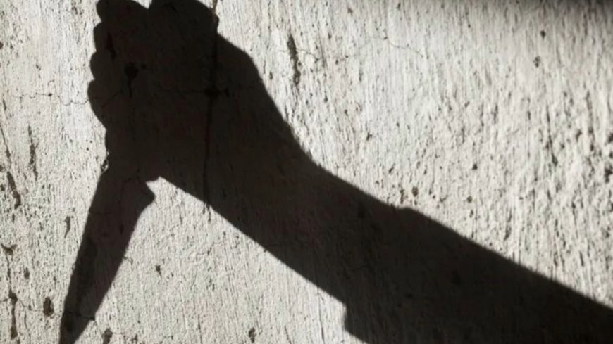 Uttarakhand Man Sentenced to Life for Brutally Killing Mother Over Money