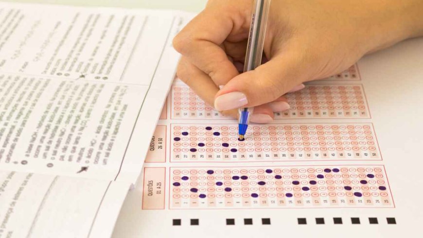 CUET Provisional Answer Key Out! CUET Answer Key Released, Complete This Task in 3 Days