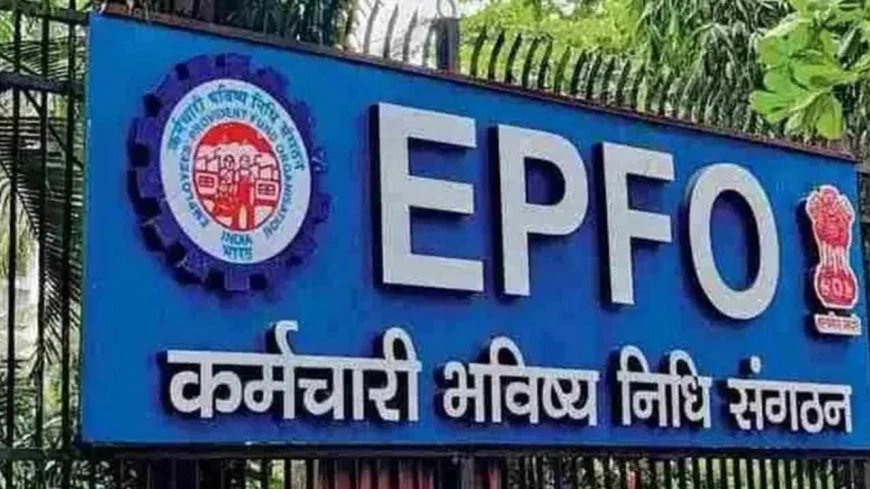 How to Check PF Claim Status, Know the Step-by-Step Process