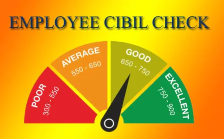 Cibil Score Rule for Job: Poor Cibil Score May Block Employment, Beware of Fraud