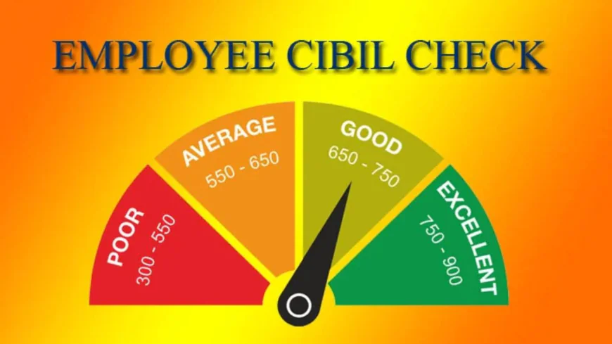 Cibil Score Rule for Job: Poor Cibil Score May Block Employment, Beware of Fraud
