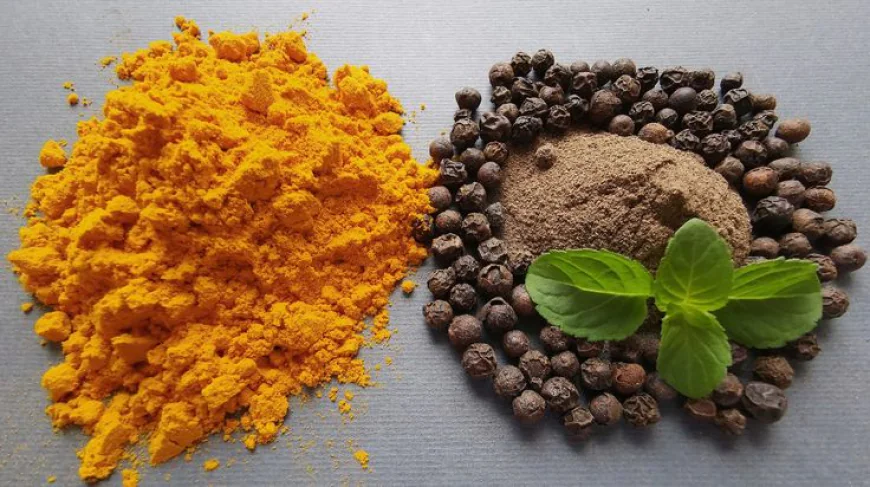 Healthy & Comforting Foods to Boost Immunity: Monsoon Edition