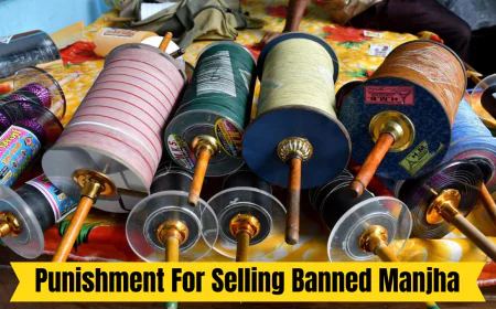 Punishment For Selling Banned Manjha: Penalty if Caught Selling, Know All Rules