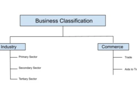 Understanding Business Categories: The Foundation of Commerce