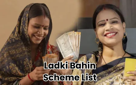 Ladki Bahin Yojana: Ladki Bahin Yojana: List of 26 Lakh Ineligible Women Prepared, Check If Your Name Is Included