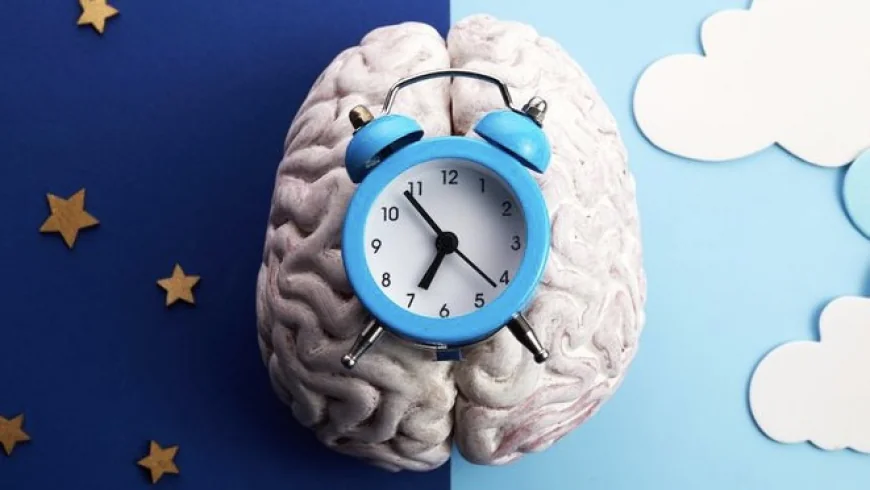 Why Everyone’s Obsessed with Ice Baths, Sleep Syncing, and Circadian Wellness?