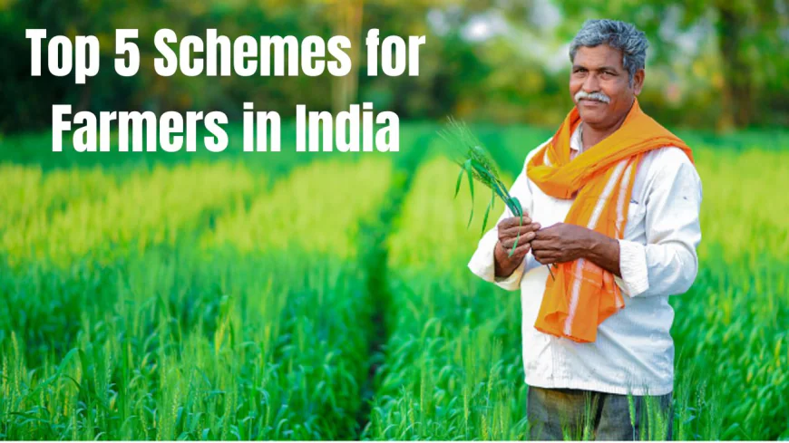 Top 5 Schemes for Farmers: Check out Full List!