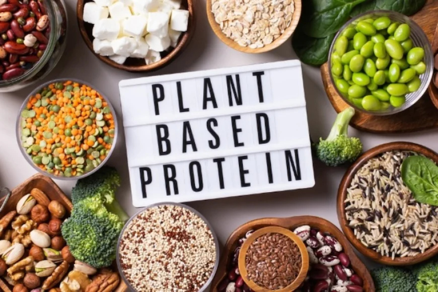 A Bio Factory Making Animal-Free Protein: The Future of Food