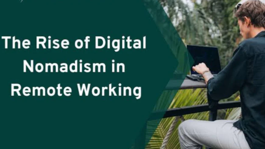 The Evolving Culture of Remote Work and Digital Nomadism