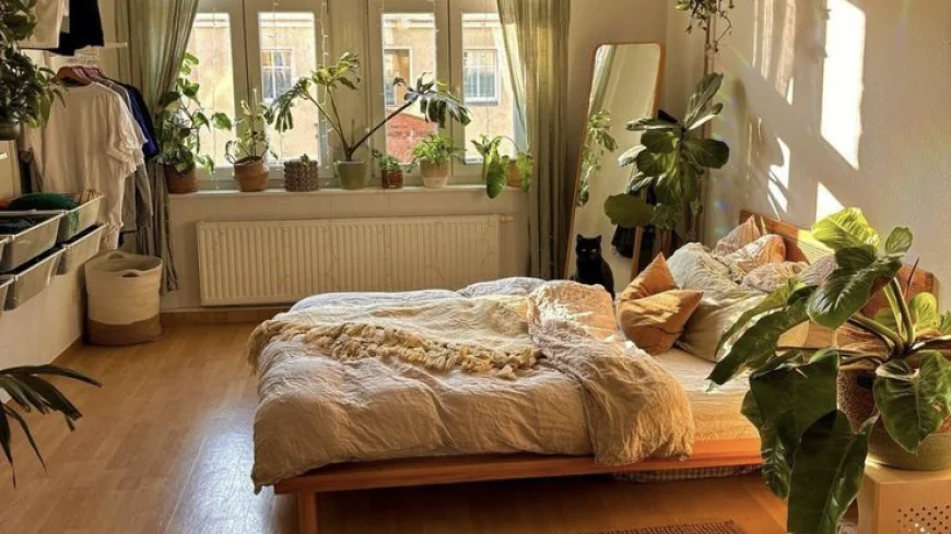 Cottage Vibes + Nature Inside: The Secret to a Truly Cozy Home