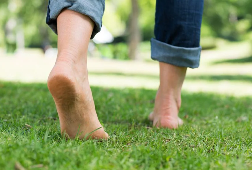 The Healing Power of Nature And Why the Outdoors Feels Like Therapy