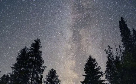 Moonlit Adventures: Why Traveling at Night is the Next Big Thing