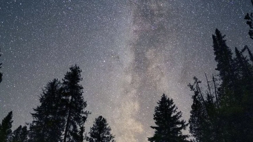 Moonlit Adventures: Why Traveling at Night is the Next Big Thing