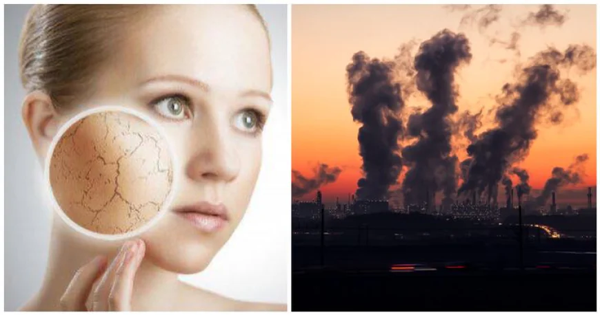 Glow on the Go For Daily Hustlers