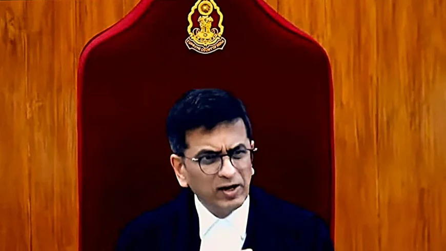 Chaos in Supreme Court: Papers Thrown at CJI Chandrachud, Courtroom Stunned