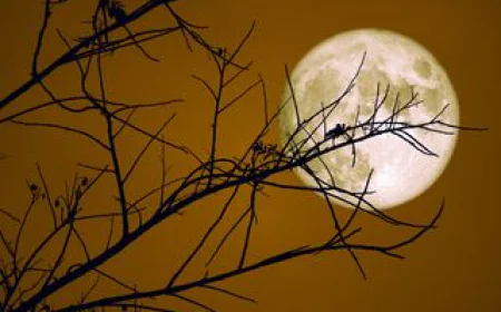 “Lunar Spotlight: The Beaver Supermoon 2025 Lights Up Indian Skies”