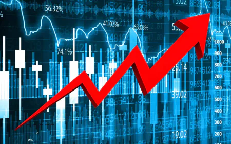 Overpriced Anchors: Is the Mutual Fund Ship Steering into IPO Risk?