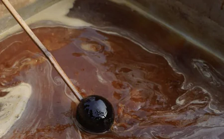From Patali to Pudding: The Sweet Alchemy of Nolen Gur in Every Winter Dessert