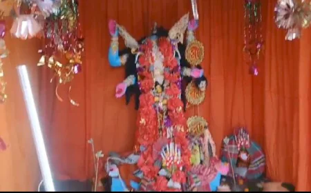 Kakdwip Idol Desecration Case: Narayan Halder Finds Support From Suvendu Adhikari and BJP; What His Advocate Says