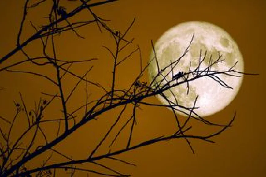 “Lunar Spotlight: The Beaver Supermoon 2025 Lights Up Indian Skies”