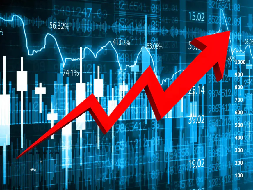 Overpriced Anchors: Is the Mutual Fund Ship Steering into IPO Risk?