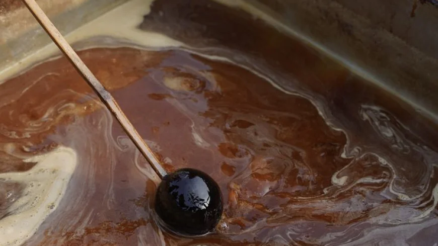 From Patali to Pudding: The Sweet Alchemy of Nolen Gur in Every Winter Dessert