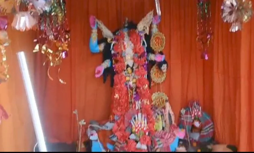 Kakdwip Idol Desecration Case: Narayan Halder Finds Support From Suvendu Adhikari and BJP; What His Advocate Says