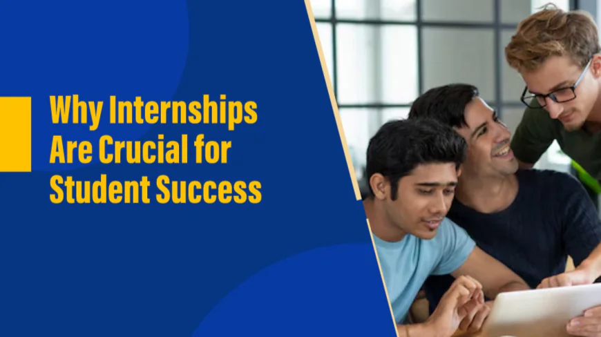What Mandatory Internships Really Mean for Students: A Closer Look
