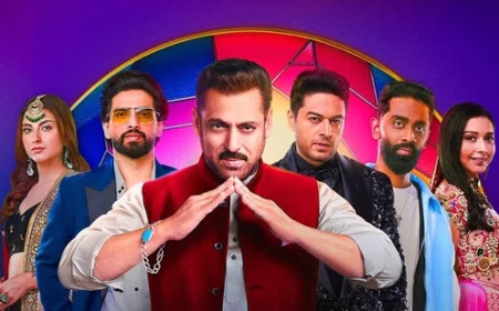 Bigg Boss 19 Wrapped: From Season Villain to TV Superstar, Top Five Contestants Who Has Everyone Talking