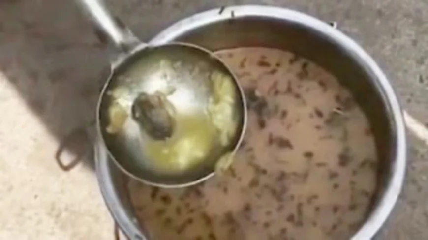A Jarring Reminder of Neglect: Dead Frog Discovered in MP School Midday Meal