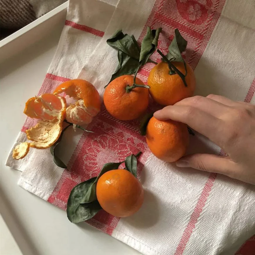 One Orange a Day: The Winter Immunity Trick That Actually Works