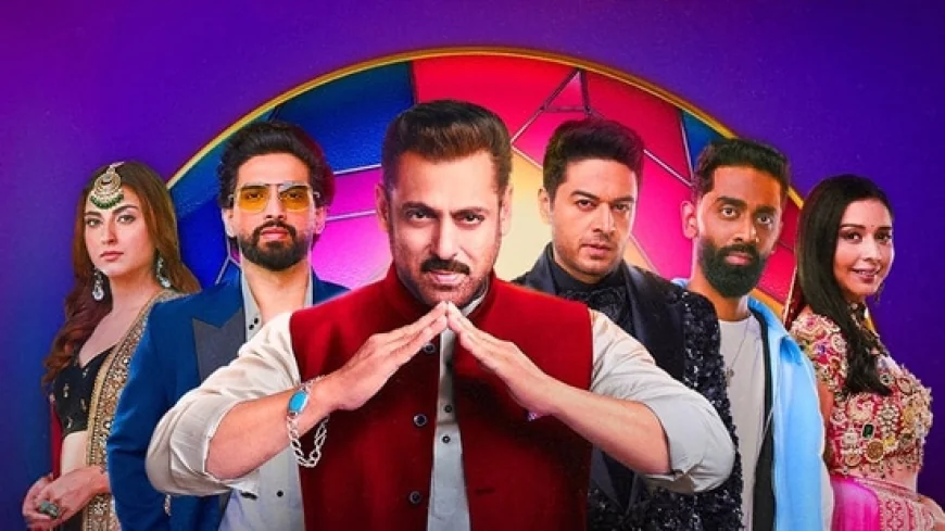 Bigg Boss 19 Wrapped: From Season Villain to TV Superstar, Top Five Contestants Who Has Everyone Talking