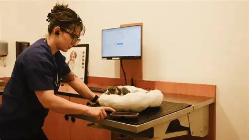 ScribbleVet Review 2025: The AI Scribe Transforming Veterinary Documentation